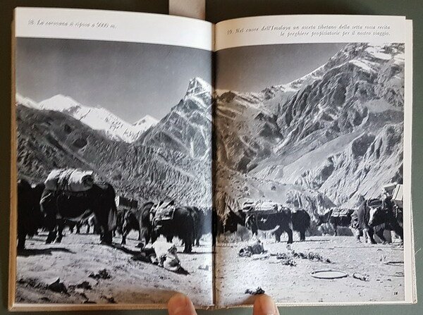 NEPAL alla scoperta dei Malla