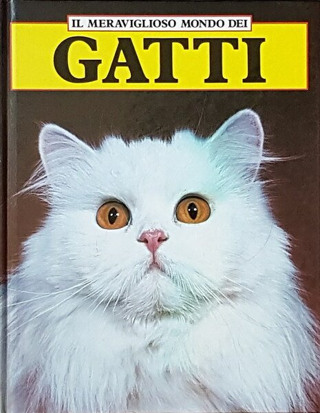 IL MERAVIGLIOSO MONDO DEI GATTI