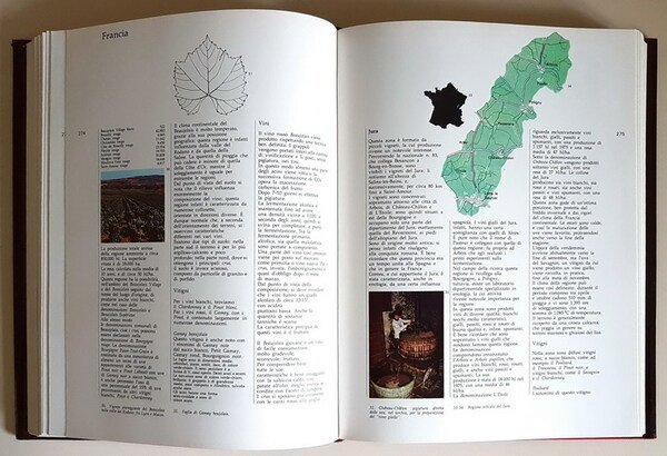 ENCICLOPEDIA DEI VINI DEL MONDO