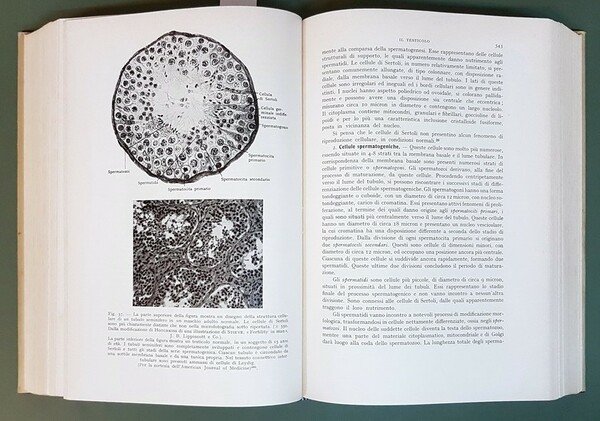 MALATTIA DELLE GHIANDOLE ENDOCRINE