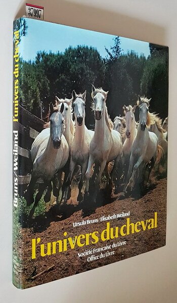 L'UNIVERS DU CHEVAL