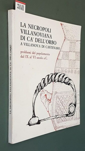 LA NECROPOLI VILLANOVIANA DI CA' DELL'ORBO A VILLANOVA DI CASTENASO …