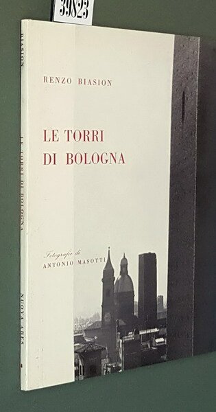 LE TORRI DI BOLOGNA
