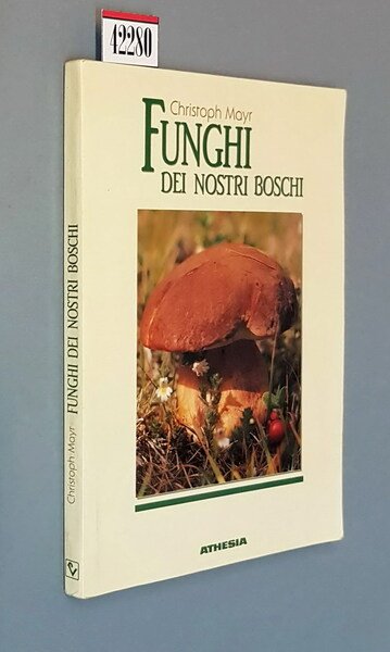 FUNGHI DEI NOSTRI BOSCHI