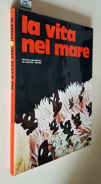 LA VITA NEL MARE