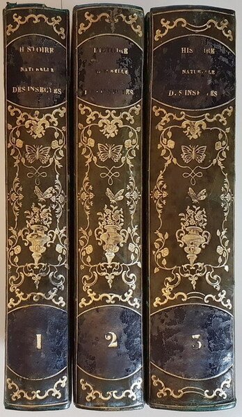 HISTOIRE NATURELLE DES INSECTES COLEOPTERES (tomes I, II) et HISTOIRE …