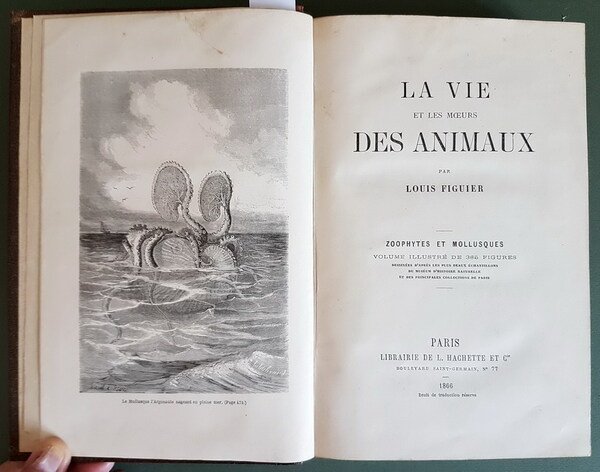 LA VIE ET LES MOEURS DES ANIMAUX - ZOOPHYTES ET …