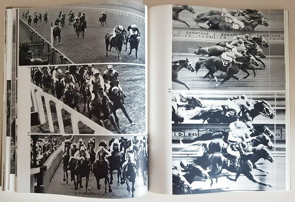 IL CAVALLO E L'UOMO - Il cavallo nella storia antica, …