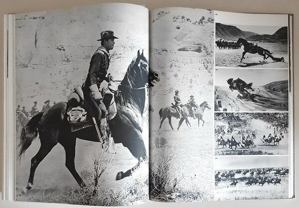 IL CAVALLO E L'UOMO - Il cavallo nella storia antica, …