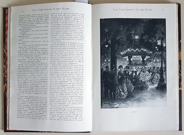 LES CONFIEDENCES D'UNE BICHE