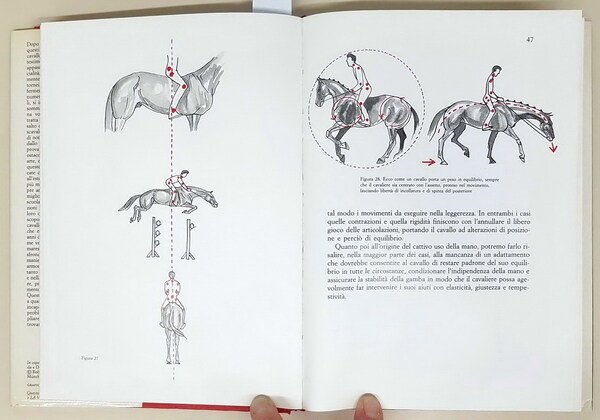 SCUOLA DI EQUITAZIONE