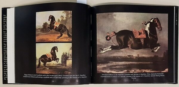 THE LIPIZZANERS AND THE SPANISH RIDING SCHOOL