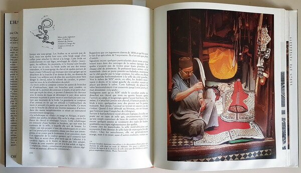 L'HABIT DU CHEVAL - Selle et Bride