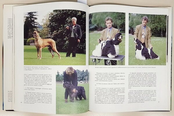 BEST IN SHOW - Le esposizioni canine