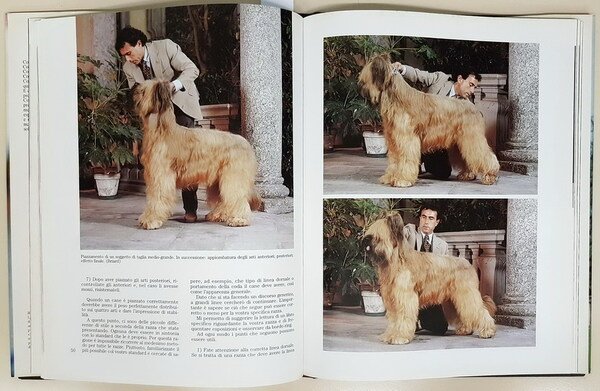 BEST IN SHOW - Le esposizioni canine