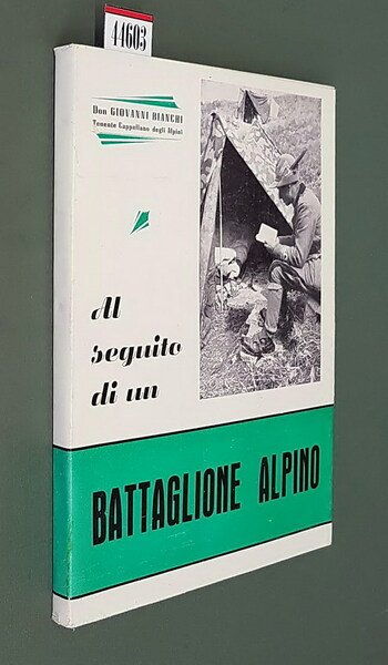 AL SEGUITO DI UN BATTAGLIONE ALPINO