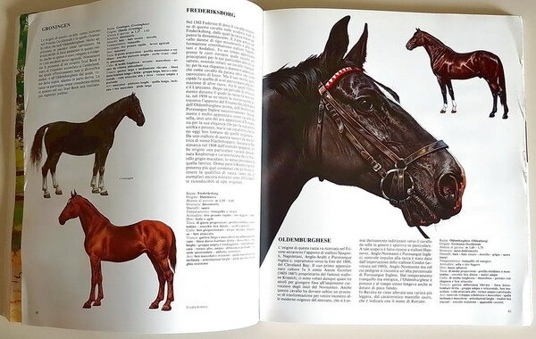 IL CAVALLO - Tutte le razze del mondo in splendide …