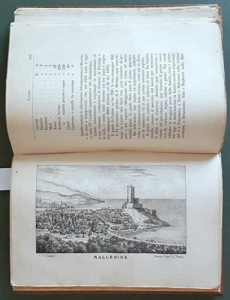 GUIDA GENERALE DEL LAGO DI GARDA