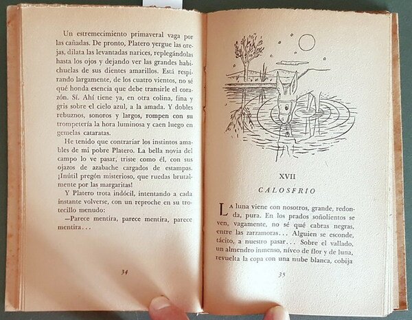 PLATERO Y YO - Elegia Andaluza