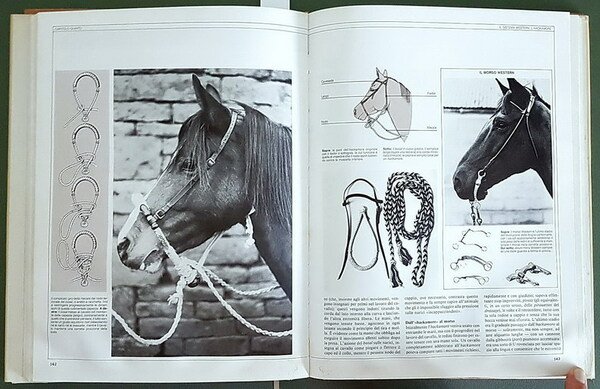 IL GRANDE LIBRO DELLA SELLERIA E DEI FINIMENTI