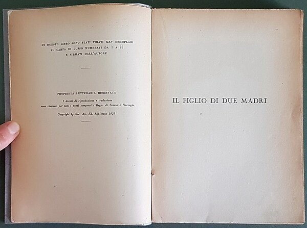 IL FIGLIO DI DUE MADRI
