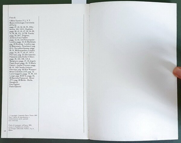 Parco Ticino - GLI UCCELLI