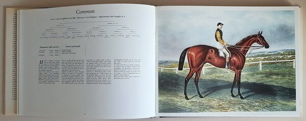 I GRANDI CAMPIONI DEL GALOPPO