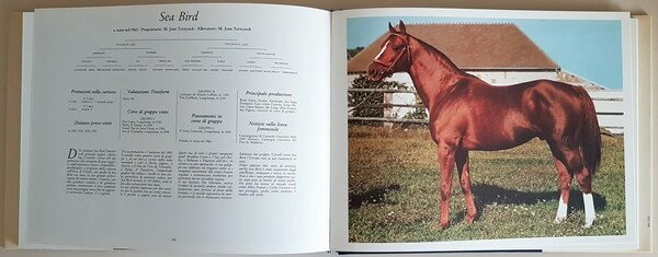 I GRANDI CAMPIONI DEL GALOPPO