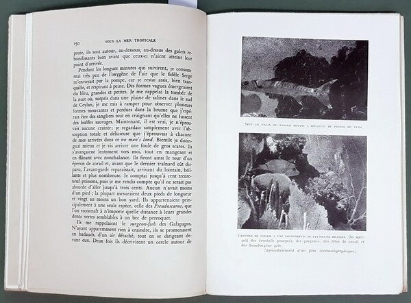 SOUS LA MER TROPICALE traduit de Maurice Lanoire