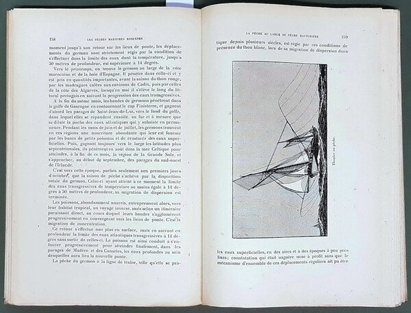 LES PECHES MARITIMES MODERNES