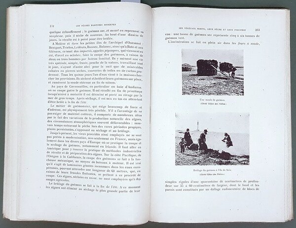 LES PECHES MARITIMES MODERNES