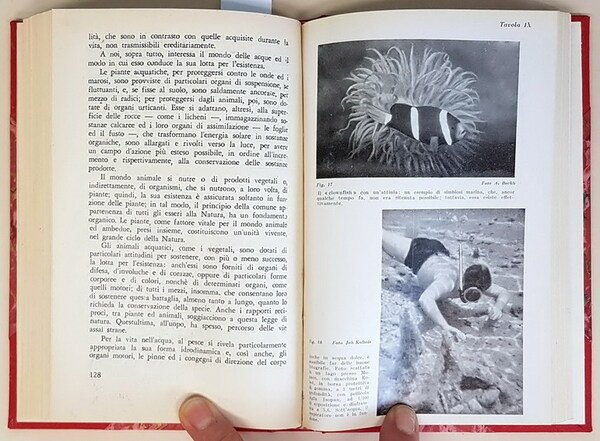 MANUALE DI PESCA SUBACQUEA