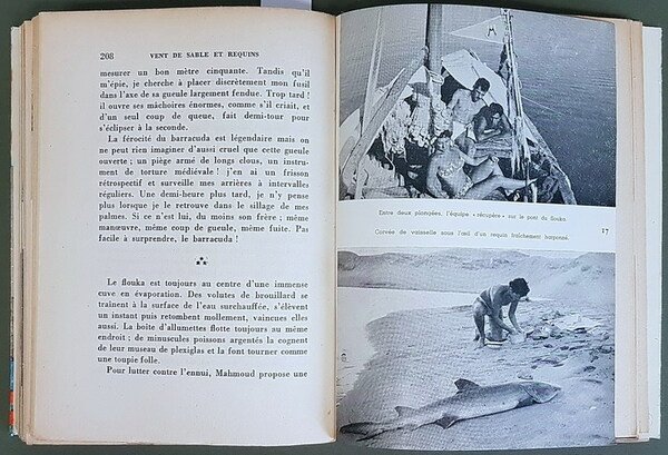 VENT DE SABLE ET REQUINS - Expedition terrestre et sous-marine …