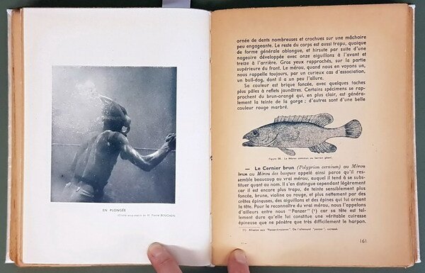 INITIATION A LA CHASSE SOUS-MARINE - Les armes sous-marines, l'equipement …