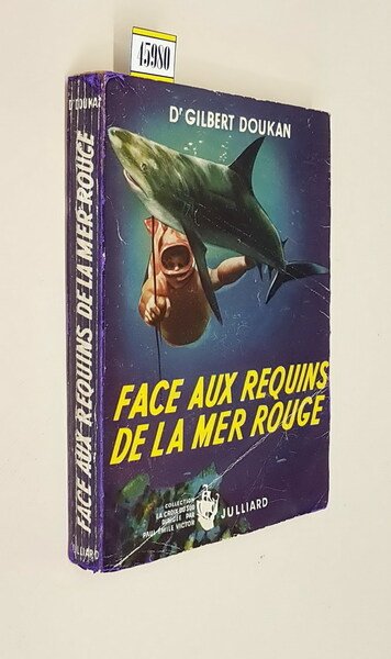 FACE AUX REQUINS DE LA MER ROUGE