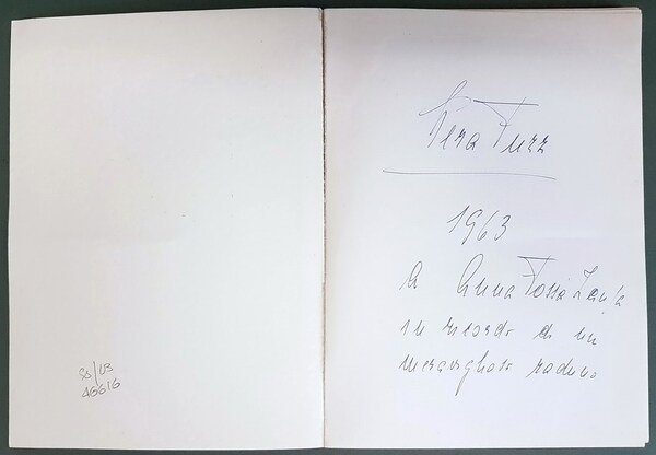 STORIE INCREDIBILI. O QUASI - Novelle