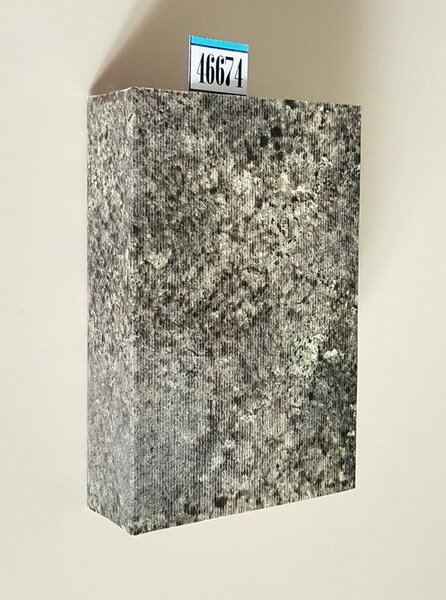 POESIE ordinate da G. Carducci