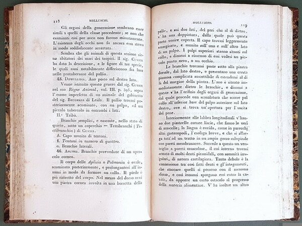 FILOSOFIA ZOOLOGICA ossia PROSPETTO GENERALE della STRUTTURA, FUNZIONI, E CLASSIFICAZIONE …