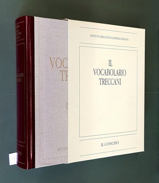 IL VOCABOLARIO TRECCANI - IL CONCISO