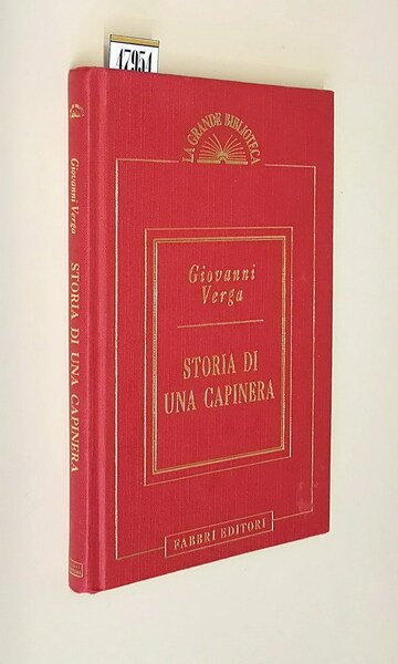 STORIA DI UNA CAPINERA