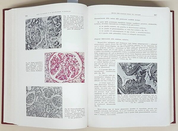 TRATTATO ITALIANO DI MEDICINA INTERNA (parte VII.) - MALATTIE DELL'APPARATO …