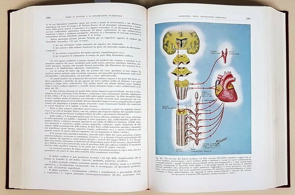 TRATTATO ITALIANO DI MEDICINA INTERNA (parte VI.) - MALATTIE DELL'APPARATO …