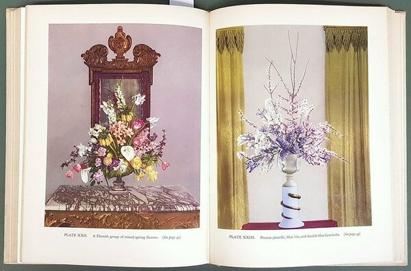 WINTER AND SPRING FLOWERS