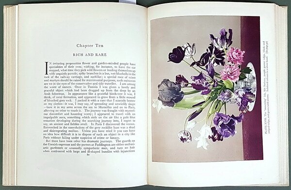 WINTER AND SPRING FLOWERS