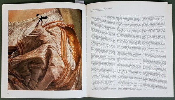 RAFFAELLO A FIRENZE - Dipinti e disegni delle collezioni fiorentine