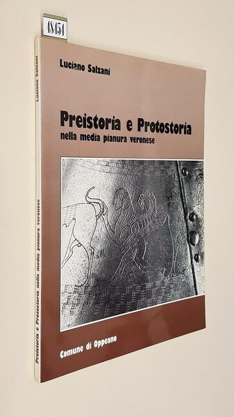 PREISTORIA E PROTOSTORIA nella media pianura veronese