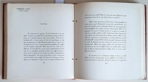 LE CHAT DANS LA LITTERATURE ET DANS L'ART