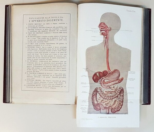 LA MEDICHESSA IN CASA (volumi I e II) - Libro …