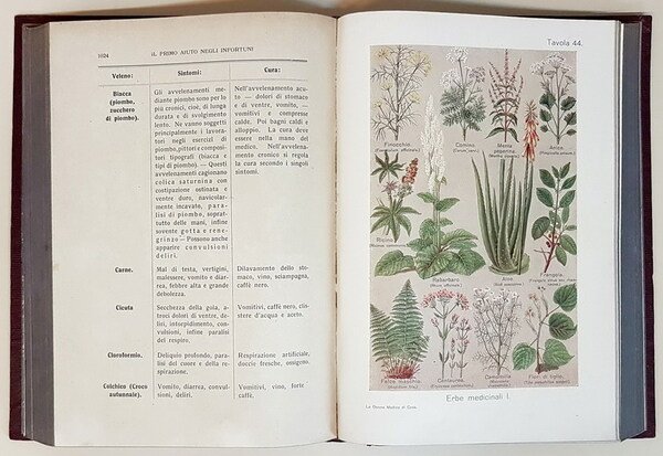 LA MEDICHESSA IN CASA (volumi I e II) - Libro …