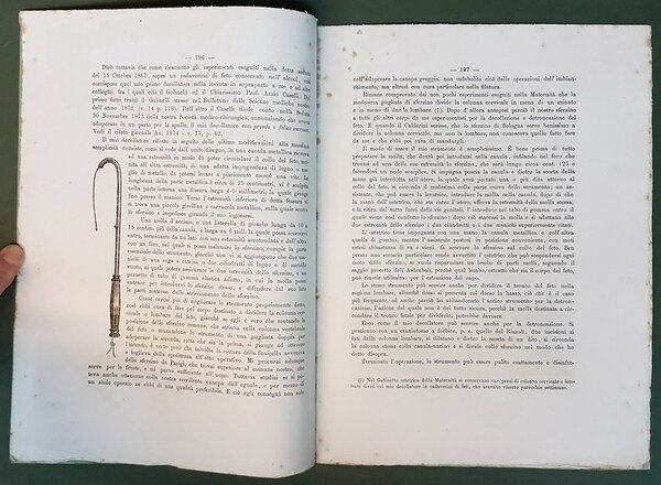 ULTIME MODIFICAZIONI INDOTTE AL SUO DECOLLATORE OSTRETRICO